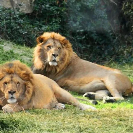 2 Bed Flat-sleeps4-pets-pool-parking-golfclub * Estepona